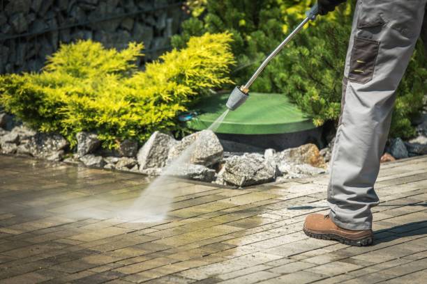 Best Driveway Pressure Washing  in Opelika, AL